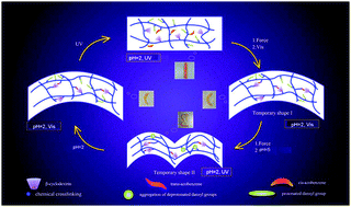Graphical abstract: Light-, pH- and thermal-responsive hydrogels with the triple-shape memory effect