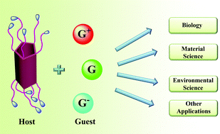 Graphical abstract: Recent advances in pillar[n]arenes: synthesis and applications based on host–guest interactions