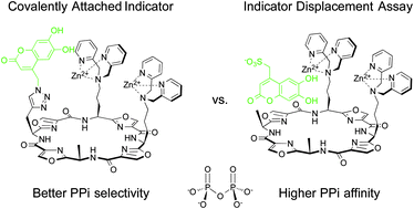 Graphical abstract: Are two better than one? Comparing intermolecular and intramolecular indicator displacement assays in pyrophosphate sensors