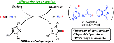 Graphical abstract: N-Heterocyclic carbene-mediated redox condensation of alcohols