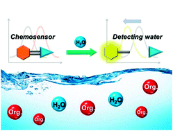 Graphical abstract: Coumarin-decorated Schiff base hydrolysis as an efficient driving force for the fluorescence detection of water in organic solvents