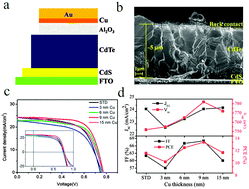 Graphical abstract: A novel p-type and metallic dual-functional Cu–Al2O3 ultra-thin layer as the back electrode enabling high performance of thin film solar cells