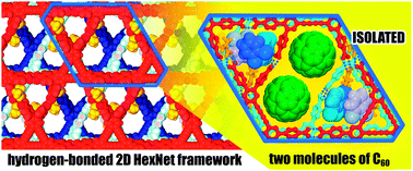 Graphical abstract: Alignment of paired molecules of C60 within a hexagonal platform networked through hydrogen-bonds