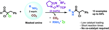 Graphical abstract: Direct NHC-catalysed redox amidation using CO2 for traceless masking of amine nucleophiles