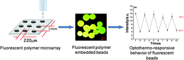 Graphical abstract: Tuning the emission properties of a fluorescent polymer using a polymer microarray approach – identification of an optothermo responsive polymer