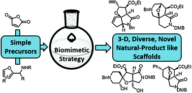 Graphical abstract: A biosynthesis-inspired approach to over twenty diverse natural product-like scaffolds