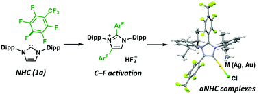Graphical abstract: Activation of C–F bonds in fluoroarenes by N-heterocyclic carbenes as an effective route to synthesize abnormal NHC complexes