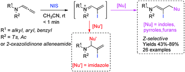Graphical abstract: Intermolecular iodofunctionalization of allenamides with indoles, pyrroles, and furans: synthesis of iodine-substituted Z-enamides