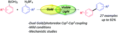 Graphical abstract: Dual gold photoredox C(sp2)–C(sp2) cross couplings – development and mechanistic studies