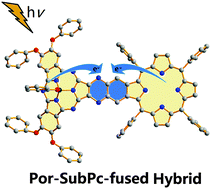Graphical abstract: The first porphyrin–subphthalocyaninatoboron(iii)-fused hybrid with unique conformation and intramolecular charge transfer behavior