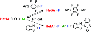 Graphical abstract: Rhodium-catalyzed transformation of heteroaryl aryl ethers into heteroaryl fluorides