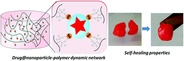 Graphical abstract: “Smart” drug loaded nanoparticle delivery from a self-healing hydrogel enabled by dynamic magnesium–biopolymer chemistry