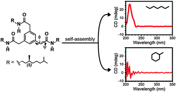 Graphical abstract: Consequences of conformational flexibility in hydrogen-bond-driven self-assembly processes