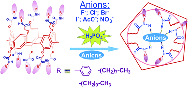 Graphical abstract: Amide-functionalized pillar[5]arenes as a novel class of macrocyclic receptors for the sensing of H2PO4− anion