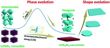 Graphical abstract: Shape and phase evolution from CsPbBr3 perovskite nanocubes to tetragonal CsPb2Br5 nanosheets with an indirect bandgap