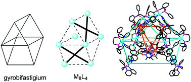 Graphical abstract: Large heterometallic coordination cages with gyrobifastigium-like geometry