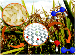 Graphical abstract: N- and O-doped mesoporous carbons derived from rice grains: efficient metal-free electrocatalysts for hydrazine oxidation