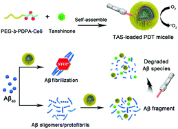 Graphical abstract: Photodynamic micelles for amyloid β degradation and aggregation inhibition