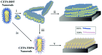 Graphical abstract: Complete assembly of Cu2ZnSnS4 (CZTS) nanorods at substrate interfaces using a combination of self and directed organisation