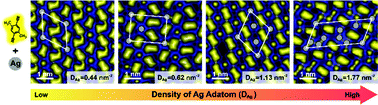 Graphical abstract: Stabilizing surface Ag adatoms into tunable single atom arrays by terminal alkyne assembly