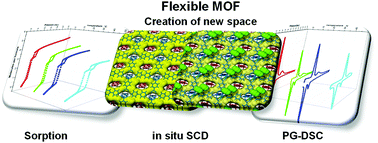 Graphical abstract: Creation of new guest accessible space under gas pressure in a flexible MOF: multidimensional insight through combination of in situ techniques