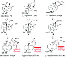 Graphical abstract: A chiral pool approach for asymmetric syntheses of (−)-antrocin, (+)-asperolide C, and (−)-trans-ozic acid
