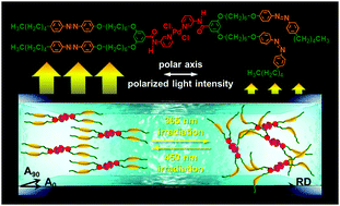 Graphical abstract: A photo-responsive metallomesogen for an optically and electrically tunable polarized light modulator