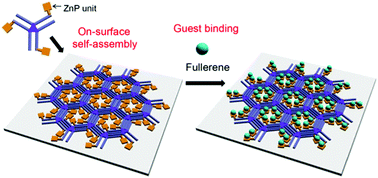 Graphical abstract: Construction of cyclic arrays of Zn-porphyrin units and their guest binding at the solid–liquid interface