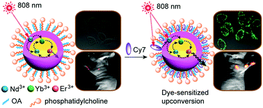 Graphical abstract: A water-dispersible dye-sensitized upconversion nanocomposite modified with phosphatidylcholine for lymphatic imaging