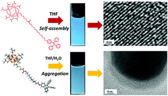 Graphical abstract: Tetraphenylethene (TPE) modified polyhedral oligomeric silsesquioxanes (POSS): unadulterated monomer emission, aggregation-induced emission and nanostructural self-assembly modulated by the flexible spacer between POSS and TPE