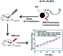 Graphical abstract: Conjugation of a photosensitizer to near infrared light renewable persistent luminescence nanoparticles for photodynamic therapy