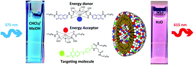 Graphical abstract: Following the stability of amphiphilic nanoaggregates by using intermolecular energy transfer