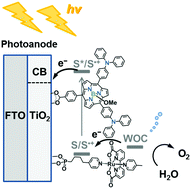 Graphical abstract: Visible light-driven water oxidation with a subporphyrin sensitizer and a water oxidation catalyst