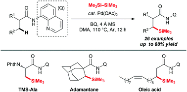 Graphical abstract: Palladium-catalyzed direct intermolecular silylation of remote unactivated C(sp3)–H bonds