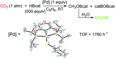 Graphical abstract: Highly efficient reduction of carbon dioxide with a borane catalyzed by bis(phosphinite) pincer ligated palladium thiolate complexes