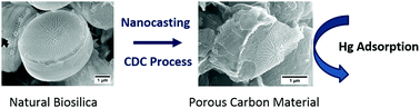 Graphical abstract: Bioinspired carbide-derived carbons with hierarchical pore structure for the adsorptive removal of mercury from aqueous solution