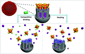 Graphical abstract: Smart mesoporous silica nanoparticles gated by pillararene-modified gold nanoparticles for on-demand cargo release