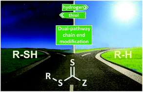 Graphical abstract: Dual-pathway chain-end modification of RAFT polymers using visible light and metal-free conditions
