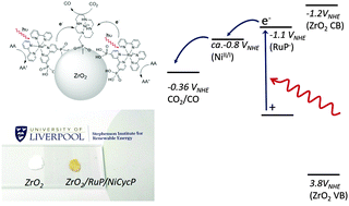 Graphical abstract: Photochemical CO2 reduction in water using a co-immobilised nickel catalyst and a visible light sensitiser