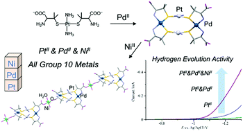 Graphical abstract: A platinum(ii)–palladium(ii)–nickel(ii) heterotrimetallic coordination polymer showing a cooperative effect on catalytic hydrogen evolution