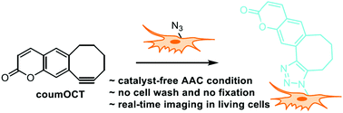 Graphical abstract: A cell-permeable and triazole-forming fluorescent probe for glycoconjugate imaging in live cells