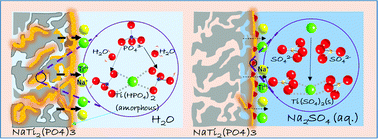 Graphical abstract: Evolution of solid/aqueous interface in aqueous sodium-ion batteries
