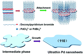 Graphical abstract: Novel surfactant-directed synthesis of ultra-thin palladium nanosheets as efficient electrocatalysts for glycerol oxidation