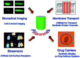 C6CC08967D Graphical Abstract, Biological and related applications of pillar[n]arenes, Wang et al.