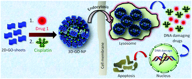 Graphical abstract: Cisplatin-induced self-assembly of graphene oxide sheets into spherical nanoparticles for damaging sub-cellular DNA