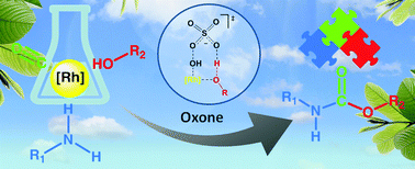 Graphical abstract: Efficient preparation of carbamates by Rh-catalysed oxidative carbonylation: unveiling the role of the oxidant