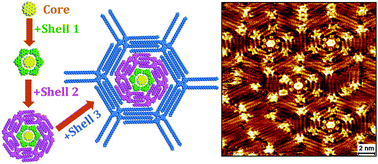 Graphical abstract: On the formation of concentric 2D multicomponent assemblies at the solution–solid interface