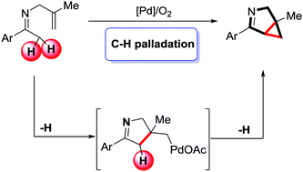 Graphical abstract: Palladium-catalyzed aerobic (1+2) annulation of Csp3–H bonds with olefin for the synthesis of 3-azabicyclo[3.1.0]hex-2-ene