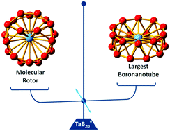 Graphical abstract: Observation of a metal-centered B2-Ta@B18− tubular molecular rotor and a perfect Ta@B20− boron drum with the record coordination number of twenty