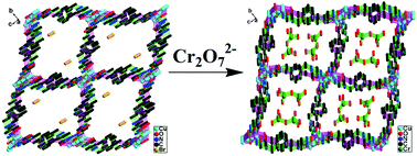Graphical abstract: An unusual porous cationic metal–organic framework based on a tetranuclear hydroxyl-copper(ii) cluster for fast and highly efficient dichromate trapping through a single-crystal to single-crystal process